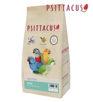 Psittacus Parrot Hand Feeding 1 kg