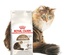 Royal Canin Senior Ageing 12+, Cat Dry Food, 2 kg