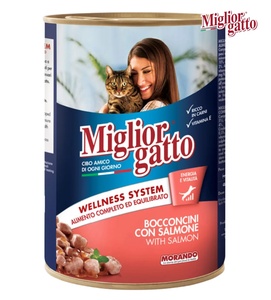 Miglior Gatto Salmon Chunks Cat Wet Food 405 gm