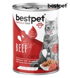 Bestpet Beef in Gravy Cat Wet Food 400 gm