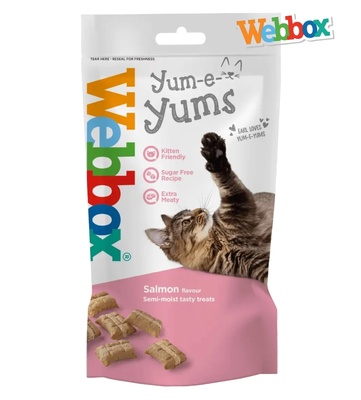 Webbox Yum-e-Yums Salmon Cat Treats 40 gm