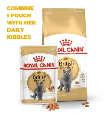 Royal Canin British Shorthair Adult, Cat Dry Food, 10 kg