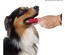 Beaphar Finger Toothbrush 2pcs/pk