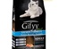 Gifyy Plus Premium Salmon Cat Dry Food 15kg