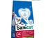 Sanicat 7 Days Freshness Aloe Vera Clumping Cat Litter 4 L