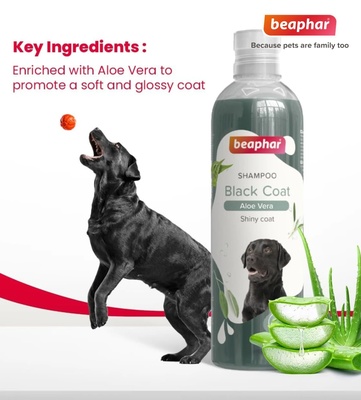 Beaphar Sage and Aloe Vera Black Coat Dog Shampoo 250 ml