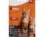 Petra Pet Chicken and Cereals Kitten Dry Food 10kg