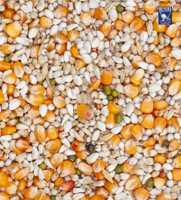 Beyers Premium Vandenabeele Pigeon Food 20 kg