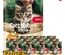 Mera Cats Nature Chicken Kitten Wet Food 85gm x 12pcs