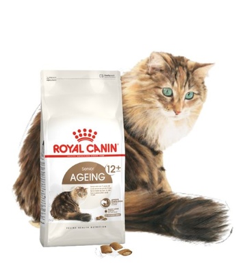 Royal Canin Senior Ageing 12+, Cat Dry Food, 2 kg