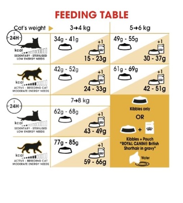 Royal Canin British Shorthair Adult, Cat Dry Food, 10 kg