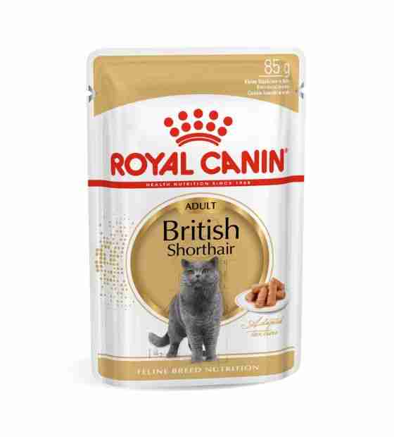 Royal Canin British Shorthair Adult Cat Wet Food 85 gm