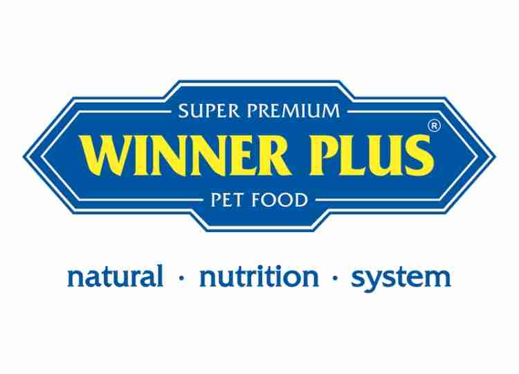 Winner Plus
