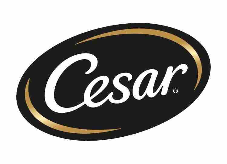 Cesar