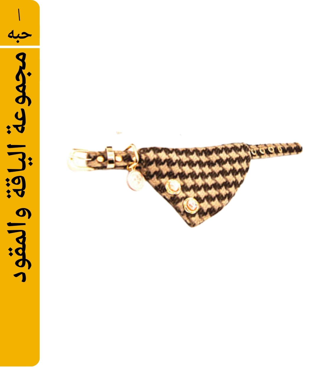 Angelamy Stripped Bandana & Leash Set Brown M