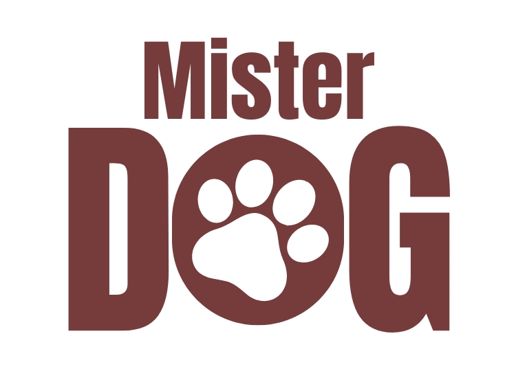 Mister Dog