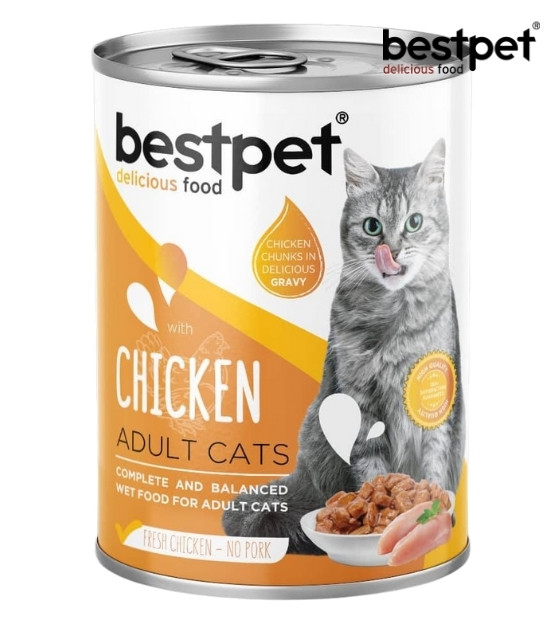 Bestpet Chicken in Gravy Cat Wet Food 400 gm
