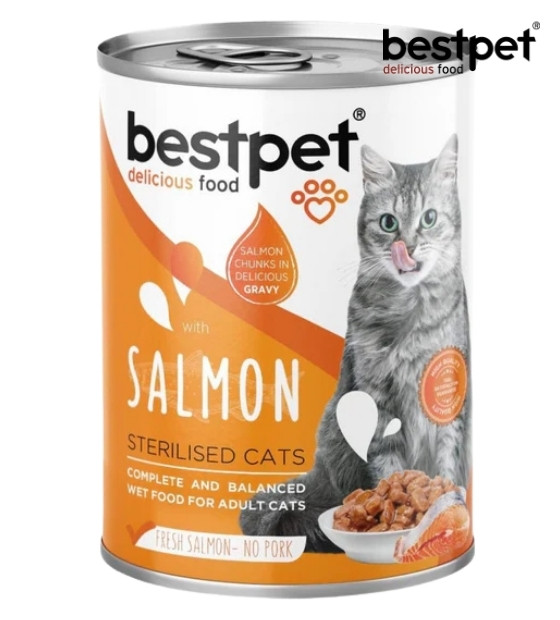 Bestpet Salmon in Gravy Cat Wet Food 400 gm