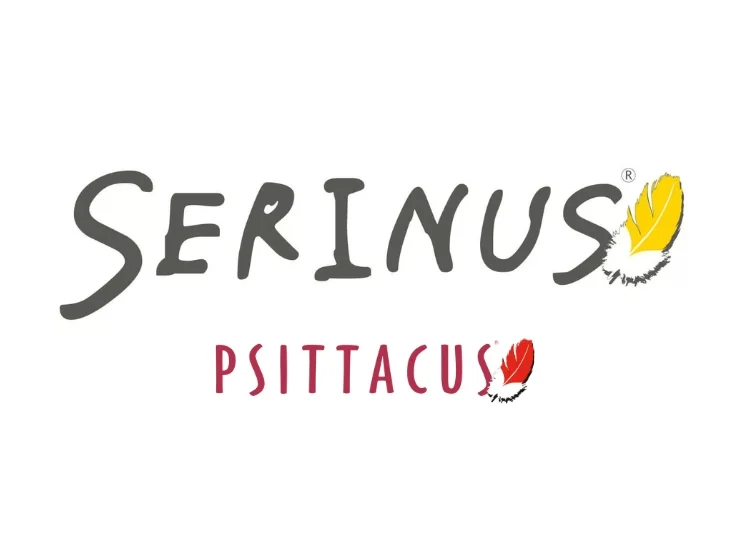 Serinus
