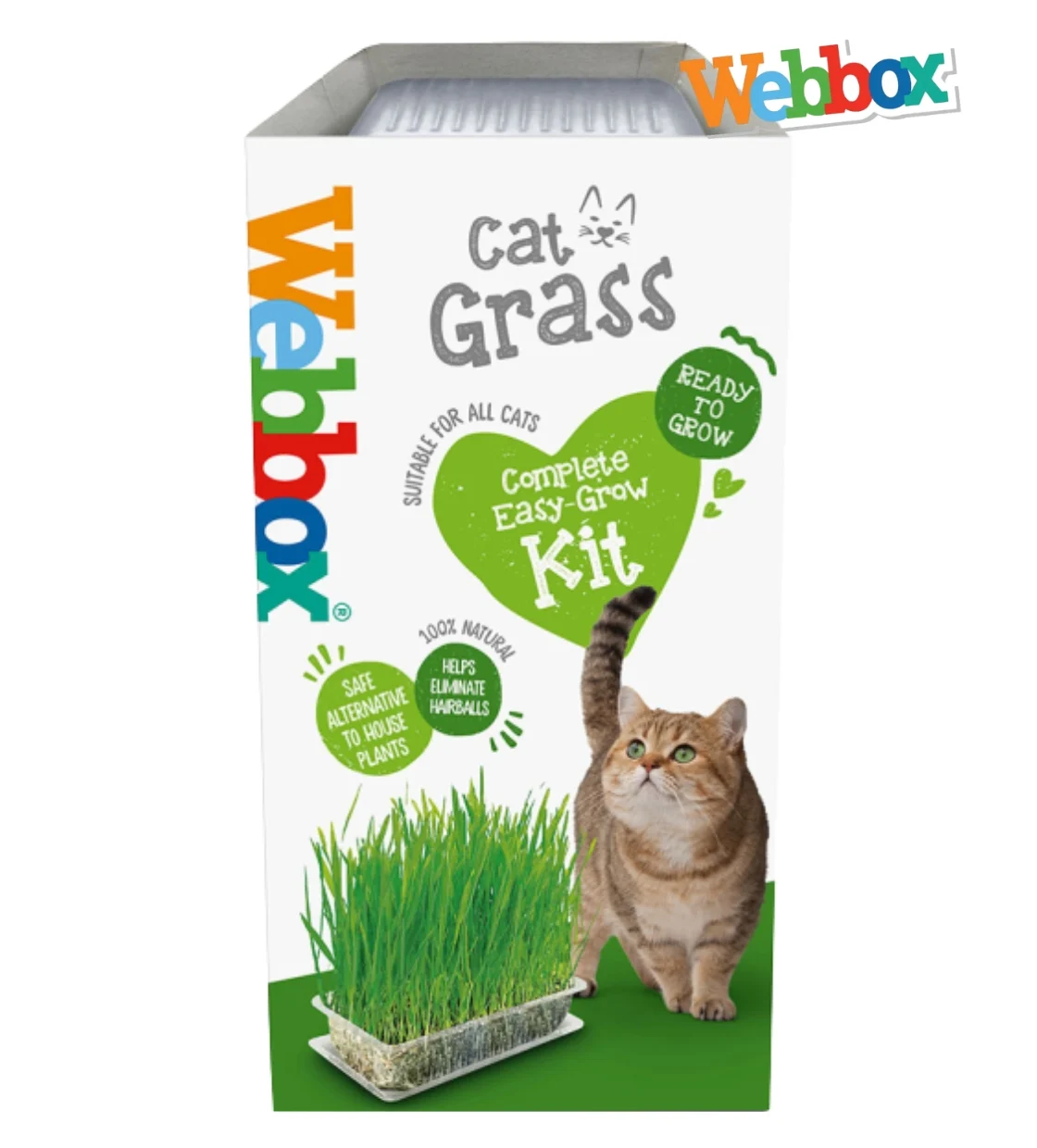 Webbox Cat Grass Seeds Cat Treat 120 gm