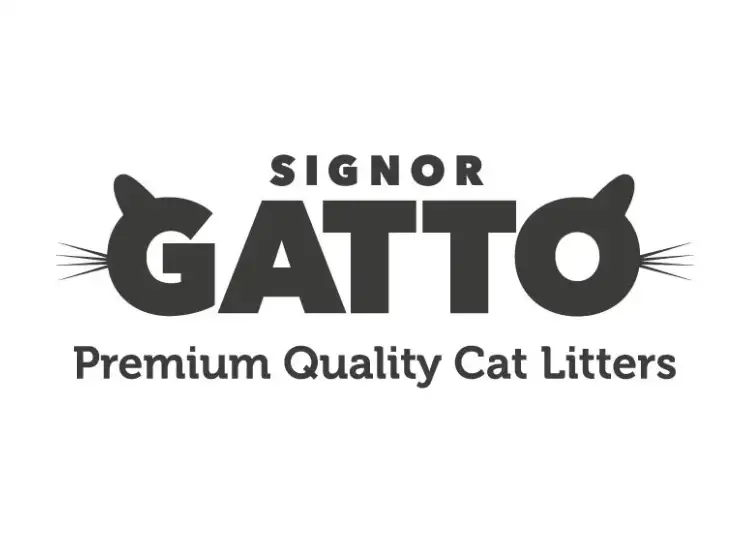Signor Gatto