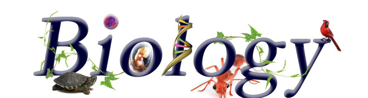 biologyexperts Cover image