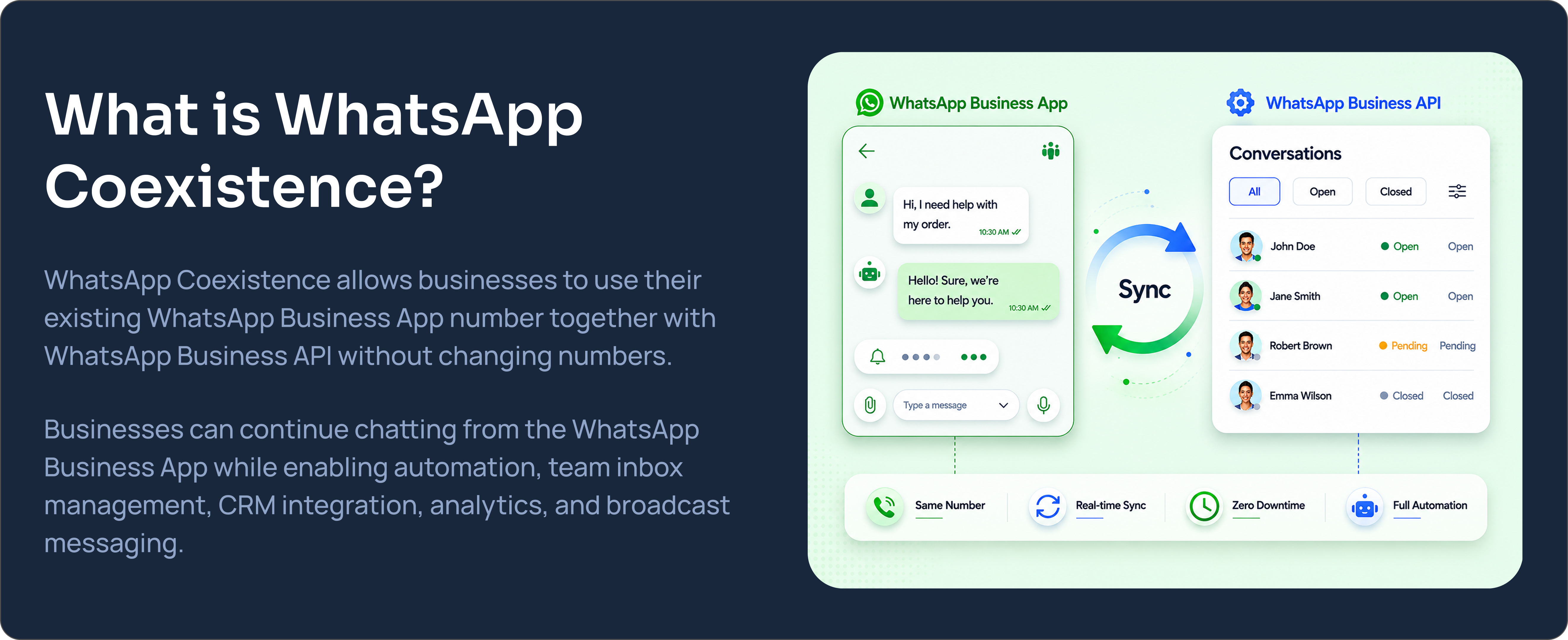 WhatsApp Business API section