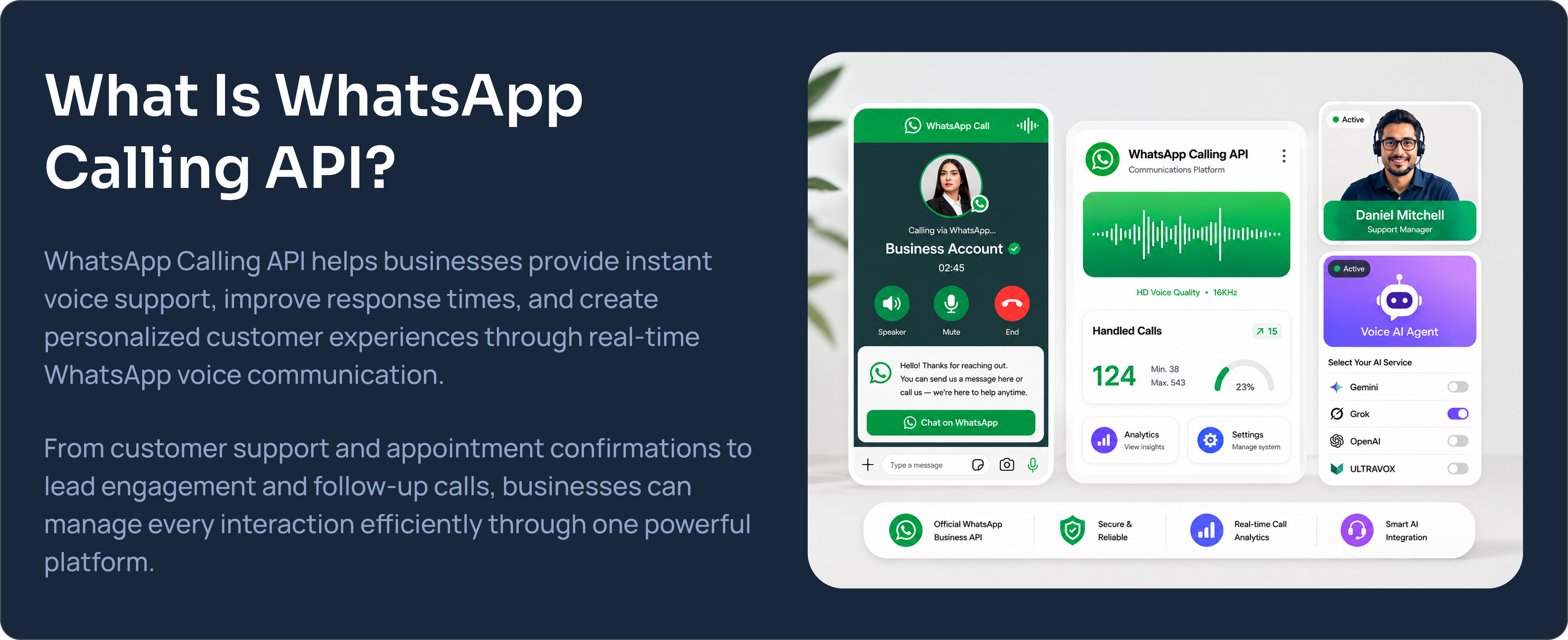 WhatsApp Business API section