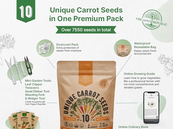 Patanjali Carrot Seeds Pack of 1 50 gm