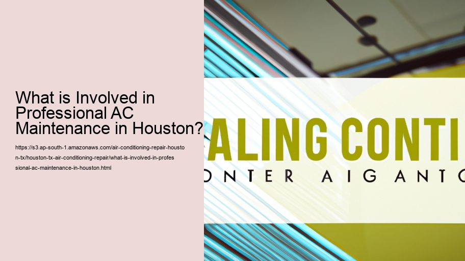 What is Involved in Professional AC Maintenance in Houston?