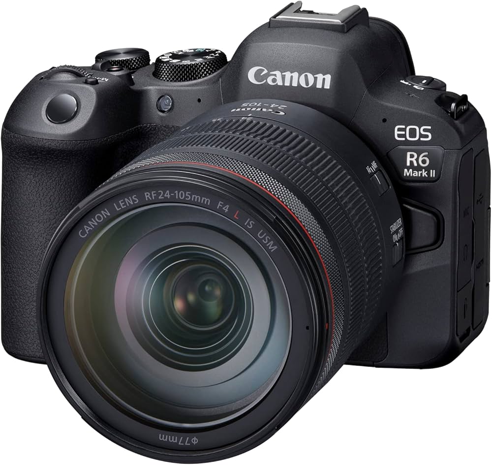 Canon R6 Mark2 for rent in Kochi