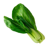 Subaer Subaer