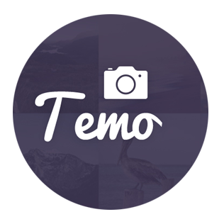 temo