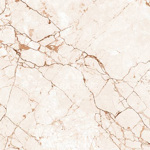 CRV BRECCIA BEIGE - Image 2