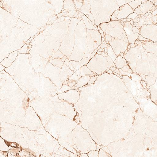 CRV BRECCIA BEIGE - Image 4