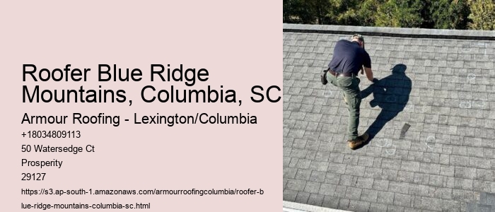 Roofer Blue Ridge Mountains, Columbia, SC