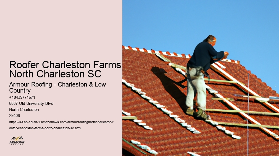 Roofer Charleston Farms North Charleston SC