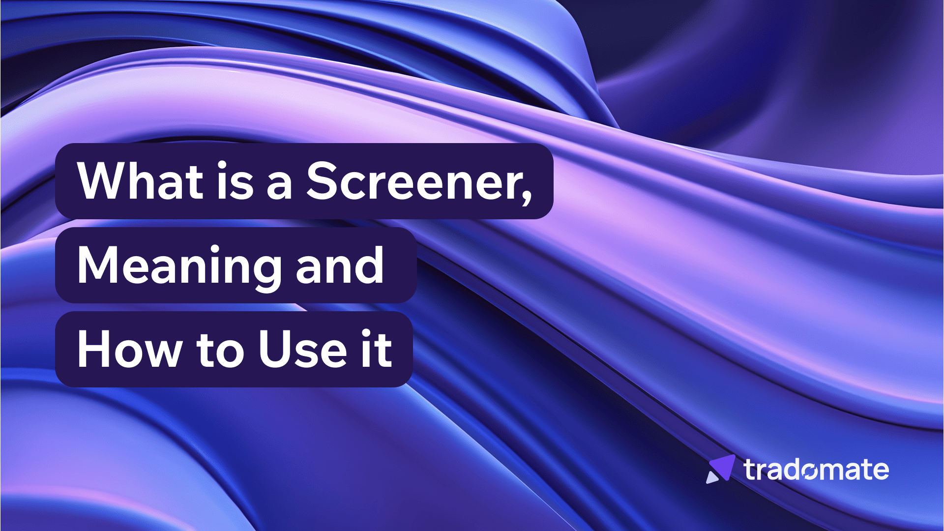 What is a Screener - Meaning and How to Use it