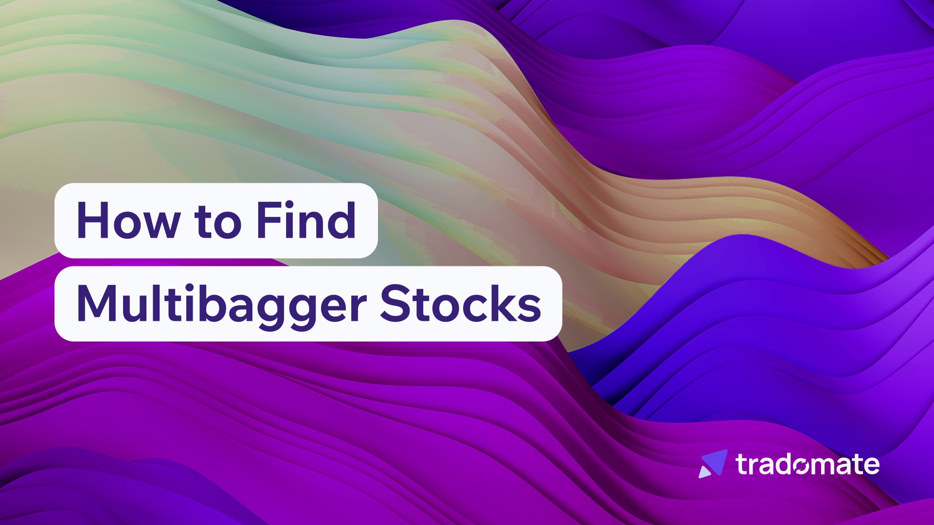 How to Find Multibagger Stocks