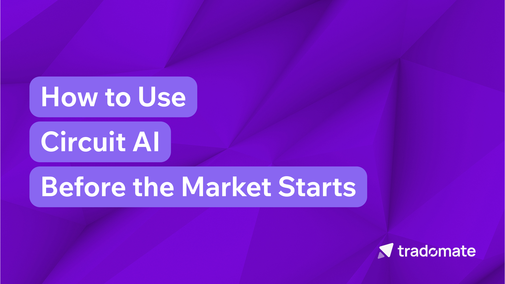 How to Use Circuit AI Before the Market Starts