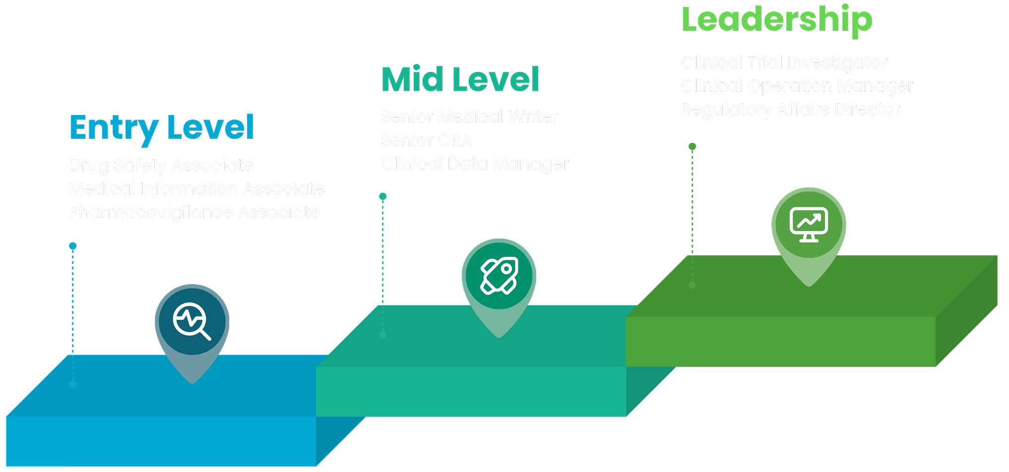 Career Progress Path — Entry Level, Mid Level, Leadership