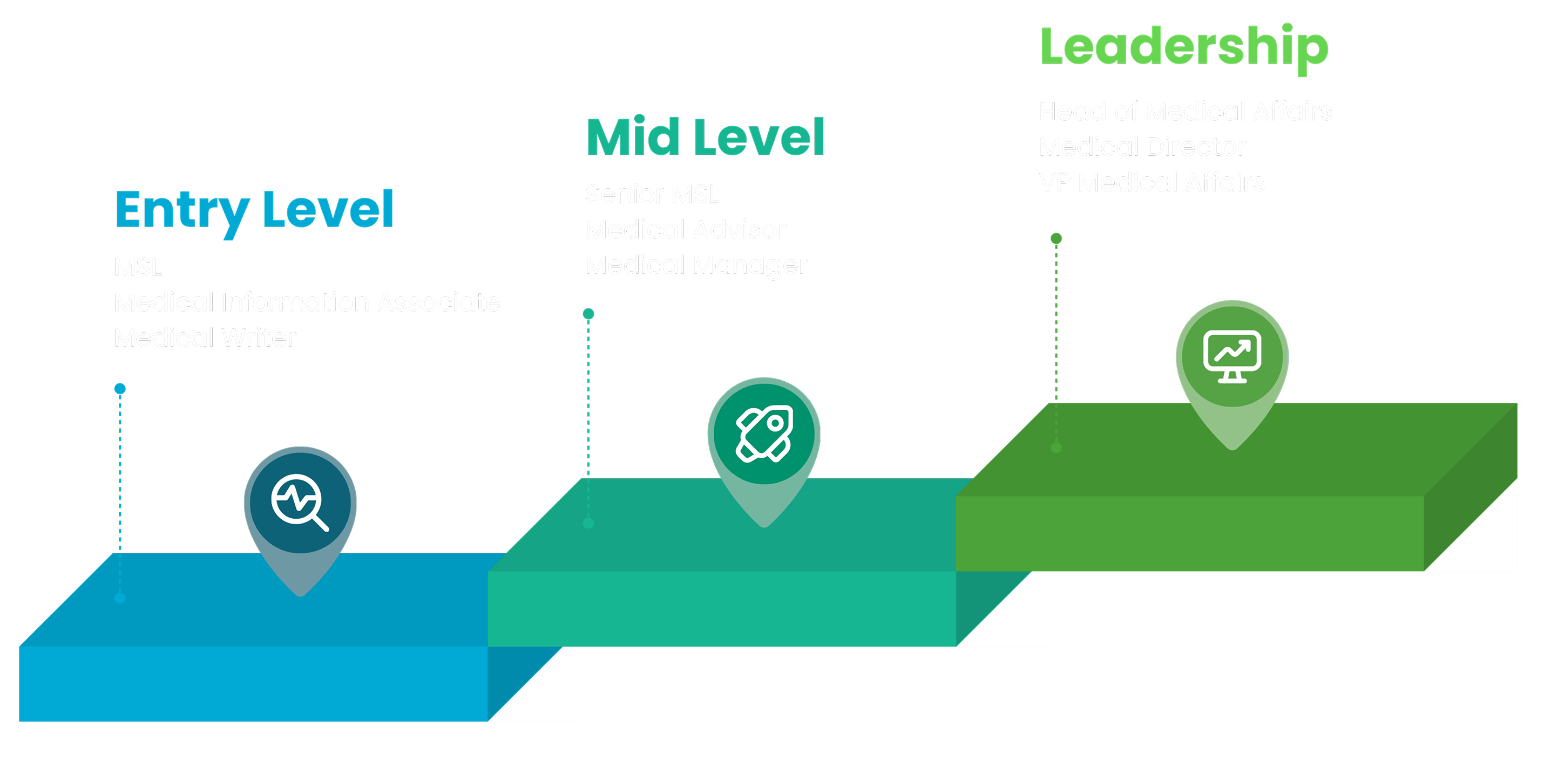 Career Progress Path — Entry Level, Mid Level, Leadership