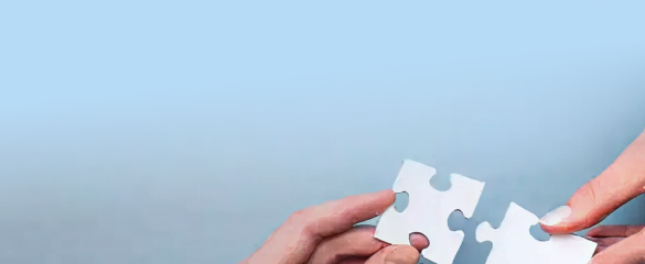 50+ Industry and Academic Partnerships