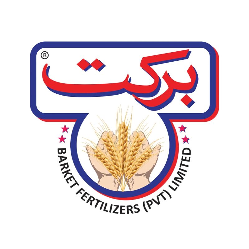 برکت Logo