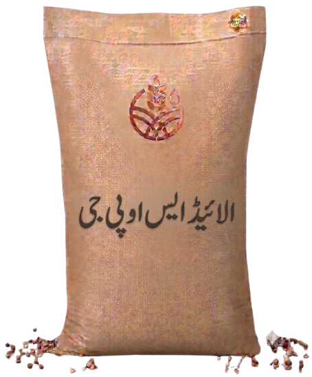الائیڈ ایس او پی جی