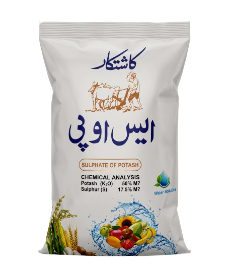 الائیڈ ایس او پی جی