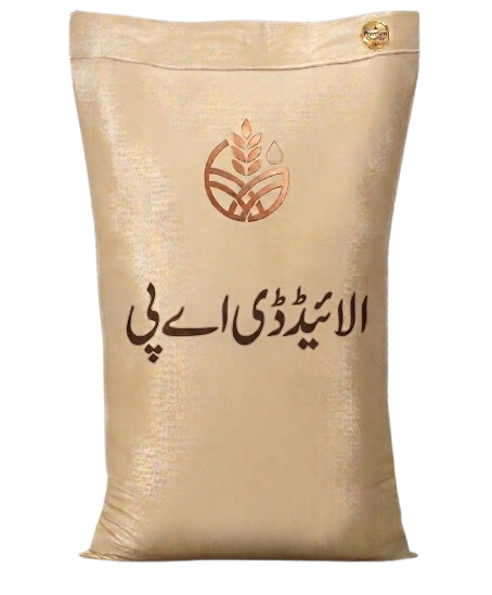 الائیڈ ڈی اے پی