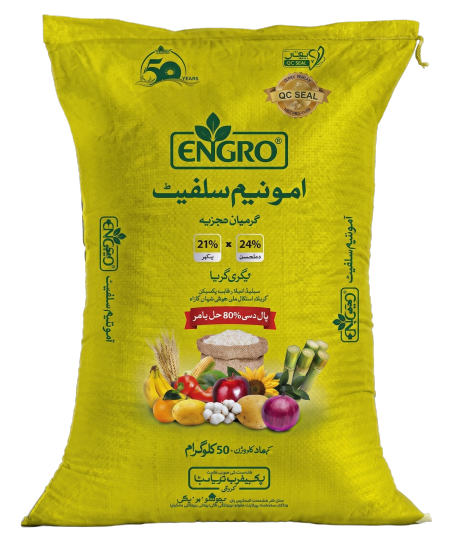 این گرو امونیم سلفیٹ