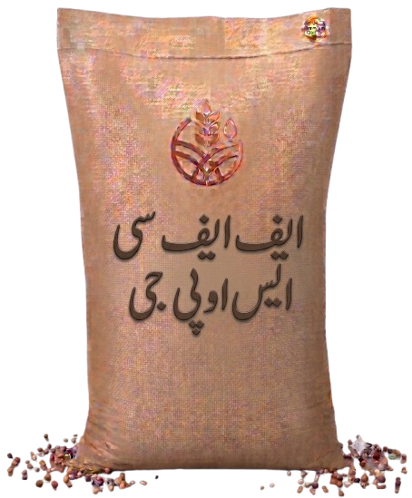 ایف ایف سی ایس او پی جی