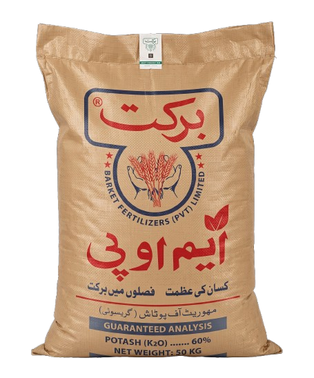 ایم او پی  وائٹ-جی
